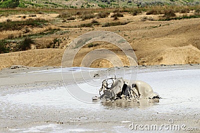 Mud volcano in Buzau, Romania Stock Photo