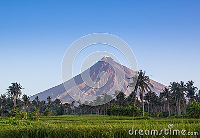 Vulcano Mount Mayon in the Philippines Stock Photo