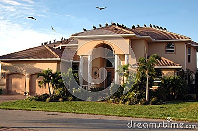 Vultures on house (foreclosure) Stock Photo