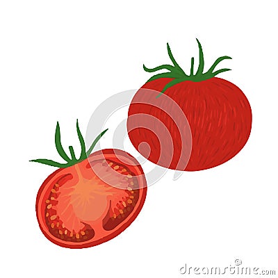 juicy vegetables food tomato Vector Illustration