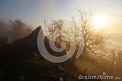 Vysoka hill in Little Carpathians,Slovakia at sunrise Stock Photo