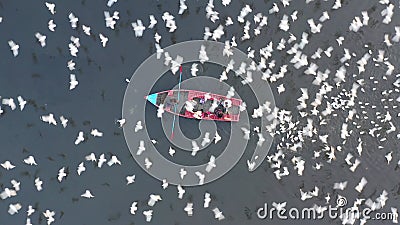 Vídeo aéreo de pessoas alimentando pássaros em um barco de pesca ao longo do rio yamuna em nova delhi índia. Vídeo aéreo de pessoas alimentando pássaros em um barco de pesca ao longo do rio yamuna em nova delhi índia.