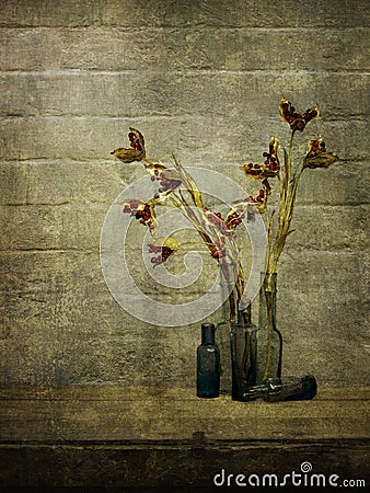 Wabi sabi still life with old bottles and dried stinking iris seed heads. Rustic interior. Stock Photo