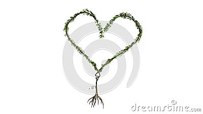 Wachsender Baum, der Herz (Farb, bildet version) Wachsender Baum, der Herz (Farb, bildet version)