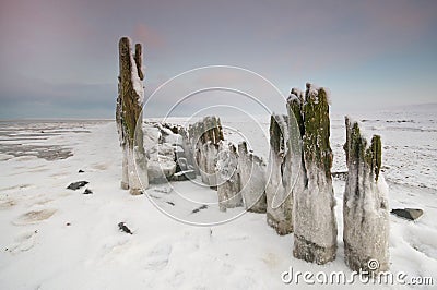 The wadden Sea by Paesens Moddergat Stock Photo
