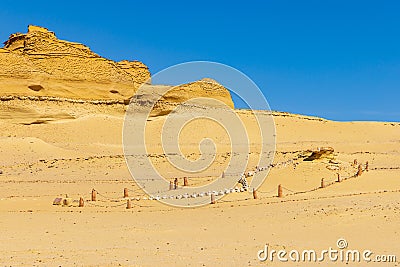 Whale fossil on the interpretive trail at Wadi el-Hitan paleontological site Stock Photo