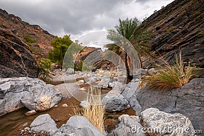 Wadi bani Awf, Hajar mountains, Oman Stock Photo