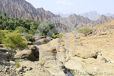 Wadi in the highlands of Ras al Khaimah, United Arab Emirates Stock Photo