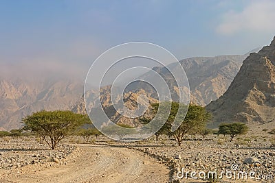 A Wadi Near Ras Al Khaimah City Stock Photo