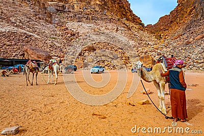 WADI RUM, JORDAN, JANUARY 5, 2019: A group of camels resting near Lawrence spring at Wadi Rum, Jordan Editorial Stock Photo