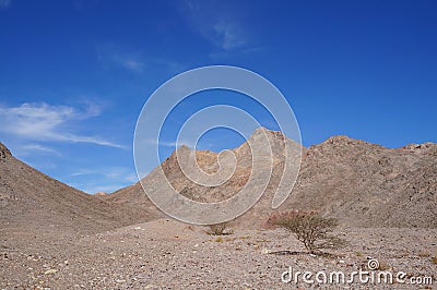 Wadi Shahamon, Israel Stock Photo