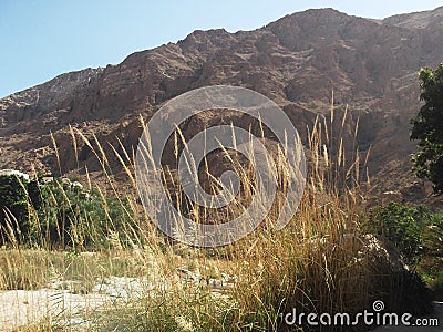 A view of Wadi Tiwi oasis in Oman, Arabian Peninsula Stock Photo