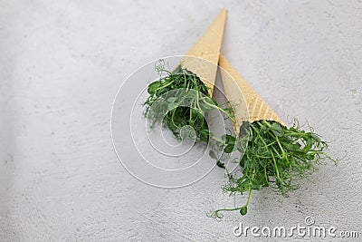 Waffle cone with fresh herbs, beautiful and original Stock Photo