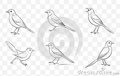 Print Wagtail Line Art Vector Set Collection Elegant and Detailed Wagtail Illustrations for Design Projects Stock Photo