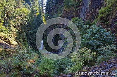 Wahclella Falls in the Columbia River Gorge Editorial Stock Photo