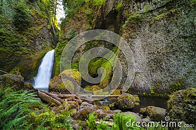 Wahclella Falls Columbia River Gorge Stock Photo