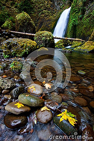 Wahclella Falls Stock Photo