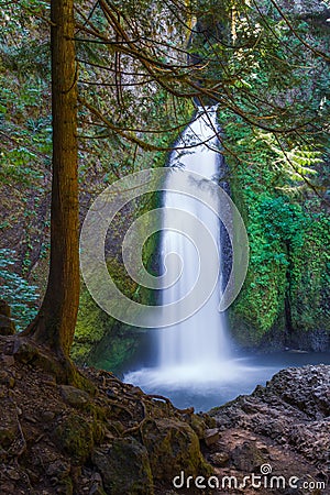 Wahclella Falls Stock Photo