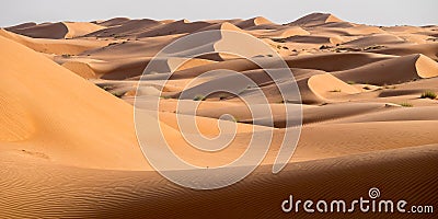 Wahiba sands, Oman desert, at sunset Stock Photo