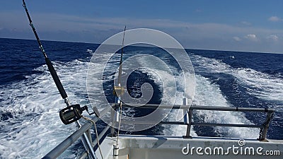 Wahoo dreams Editorial Stock Photo