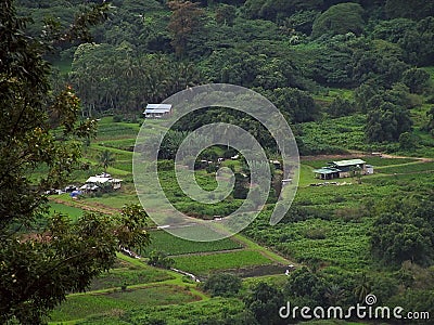 Waipio Valley Stock Photo