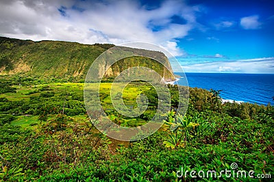 Waipio Valley view in Hawaii Stock Photo