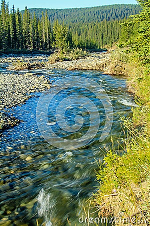 Waiprous Creek wanders through the park. North Ghost Provincial Recreation Area Alberta Canada Stock Photo