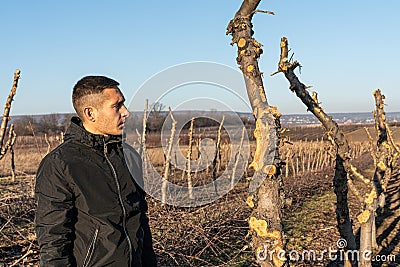 Waist up photo of the young man gardener in black clothes stands among his old apple garden and looking at the sawed Stock Photo