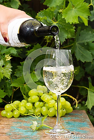 Waiter pouring a glass of ice cold white wine, outdoor terrace, Stock Photo