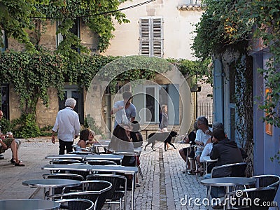 Waiter serving table in St. Remy in France Editorial Stock Photo