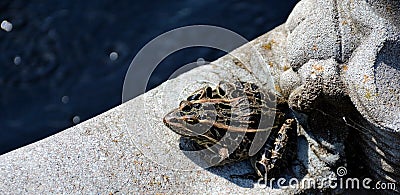 Waiting for a kiss! Stock Photo