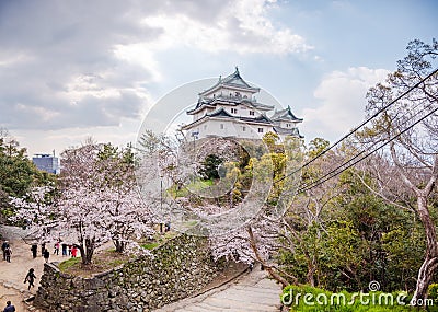 Wakayama Castle standing atop the hill with cherry blossoms in the foregound Stock Photo