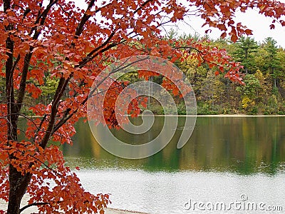 Walden Pond Stock Photo