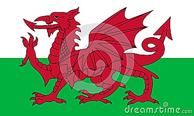 Wales flag, red dragon on the white and green. National flag of wales official colors and the aspect ratio of 3 5 Vector Illustration