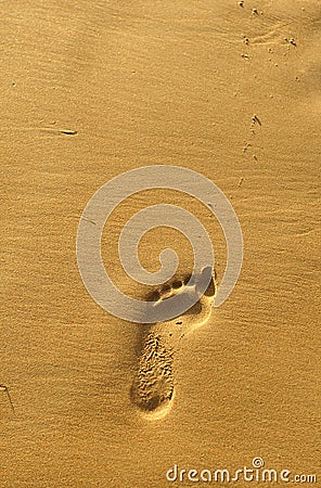 Walk along the beach, footprint in the golden sand Stock Photo