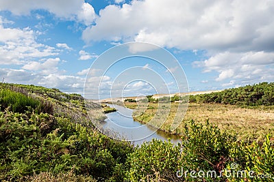 Landscape of famous Courant d'Huchet at Moliets in South West France Stock Photo