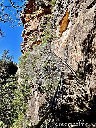 Walk in the Blue Mountains National Park Stock Photo