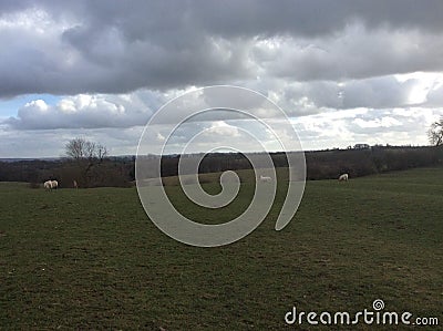 Walk through the countryside passing sheep and church steeples Stock Photo