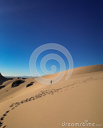 A walk in the desert Stock Photo