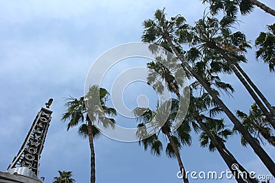 Walk of fame Stock Photo