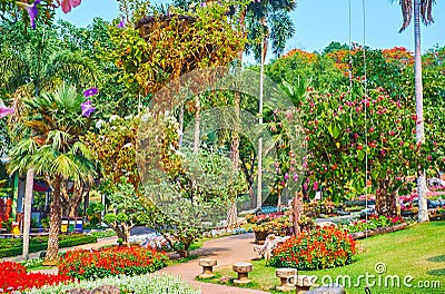 Walk among the flowers in Mae Fah Luang garden, Doi Tung, Thailand Stock Photo