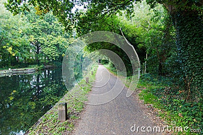 Walk path in park hike trail at water channels in Woking Stock Photo