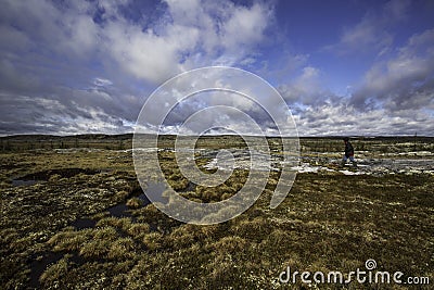 Walk in the tundra Stock Photo