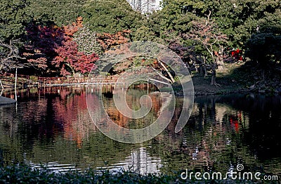 Walk under the foliage of maples Momiji Gari Japan Stock Photo