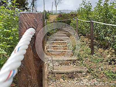 Walk up to a hill in Ranau Stock Photo