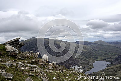 Walk up Y Garn Snowdonia North Wales UK. Stock Photo