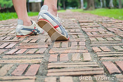 Walk on the walkway of brick. Stock Photo