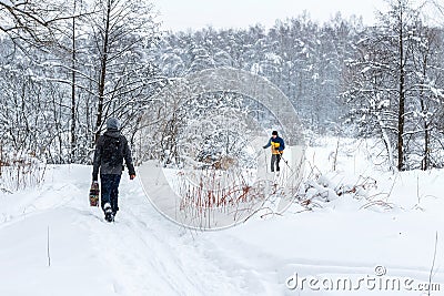 Walk in the winter wood Editorial Stock Photo