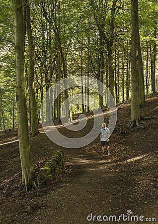 Walker admiring view from forest path Stock Photo