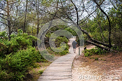 mature men walking in the forest of Moliets in the Landes Stock Photo